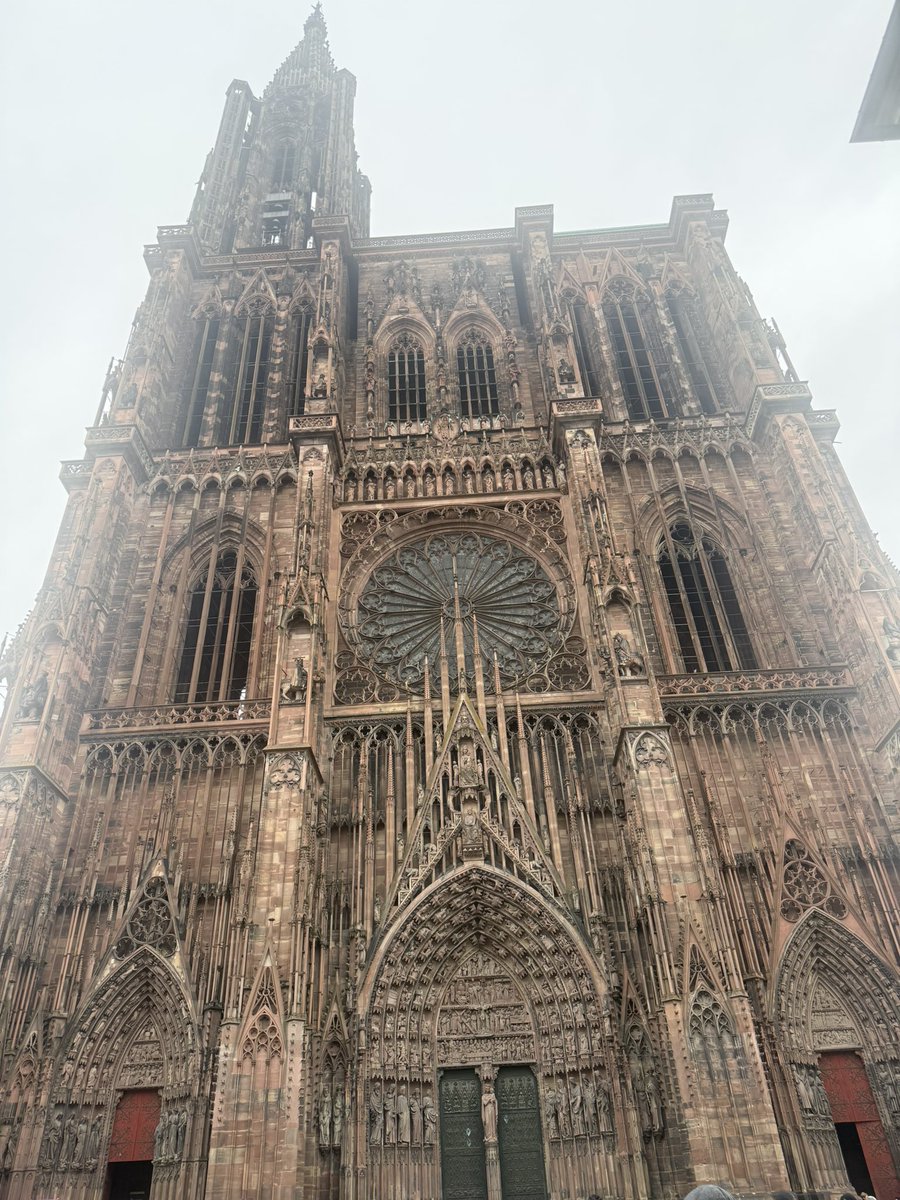 THIBAULT_ tweet media