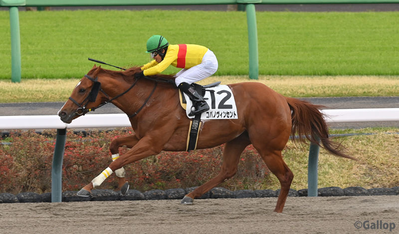 週刊Gallop（Weekly Gallop） tweet media