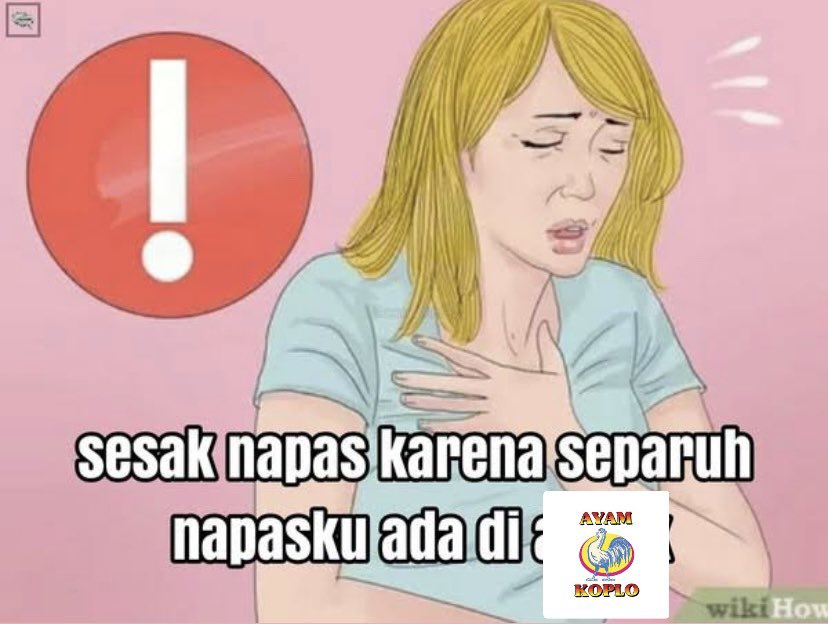 day ◡̈ tweet media