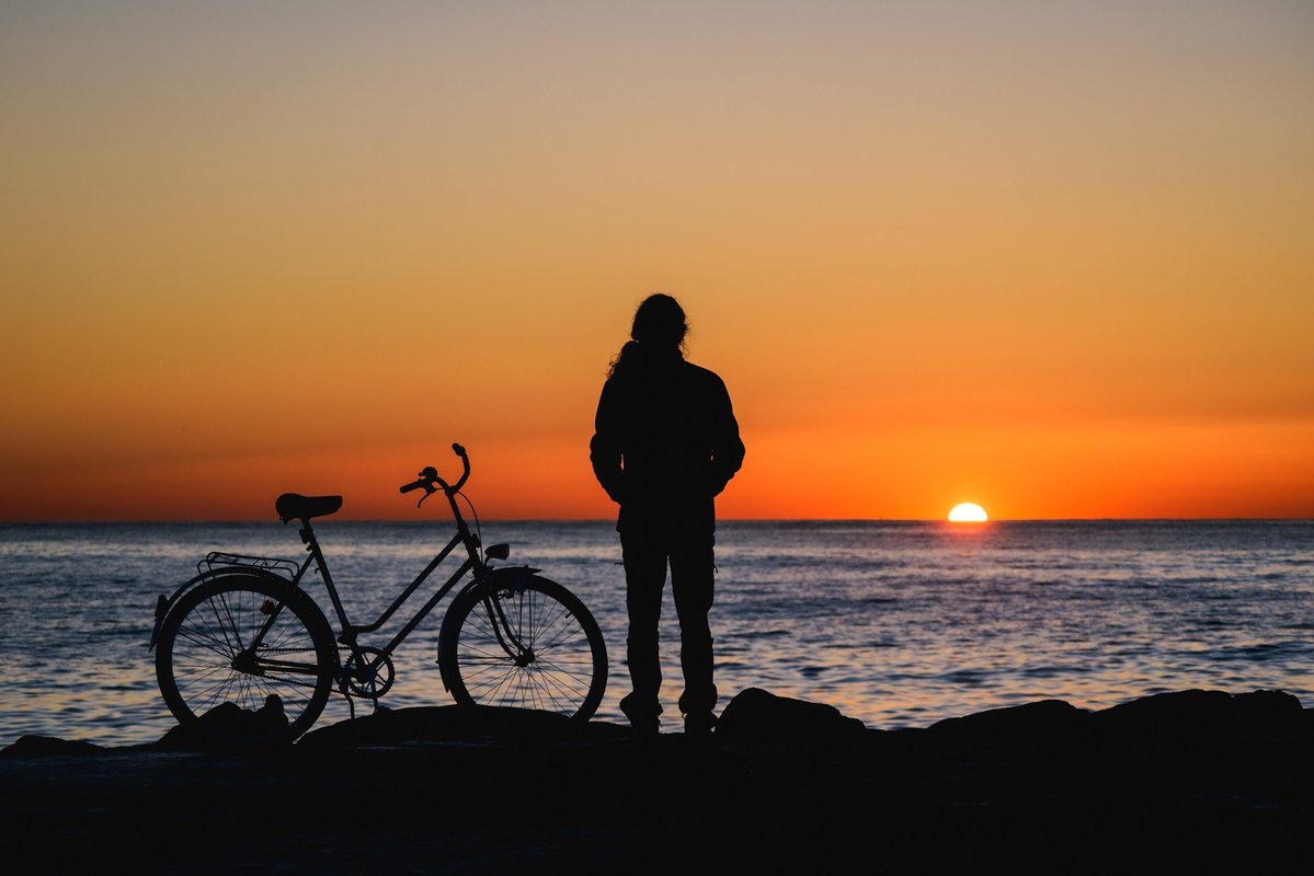 Sergi Periche tweet media