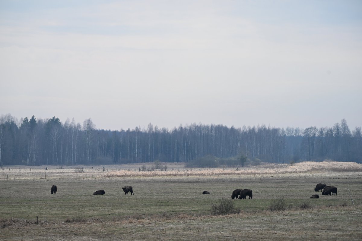 Oliwier Myka tweet media