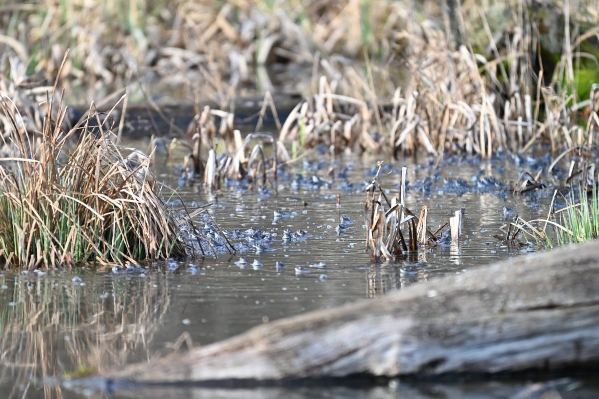 Oliwier Myka tweet media