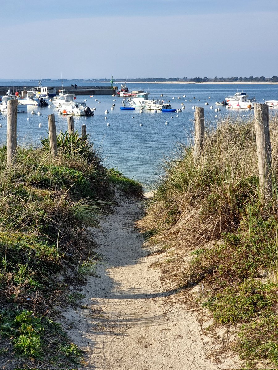 ⚓ CéLine Made In Bzh tweet media