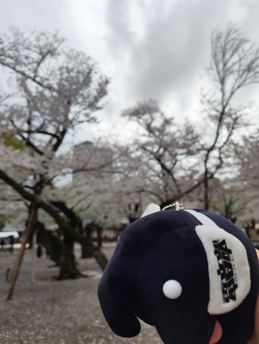 ういろう@3/29 SHT 電18 tweet media