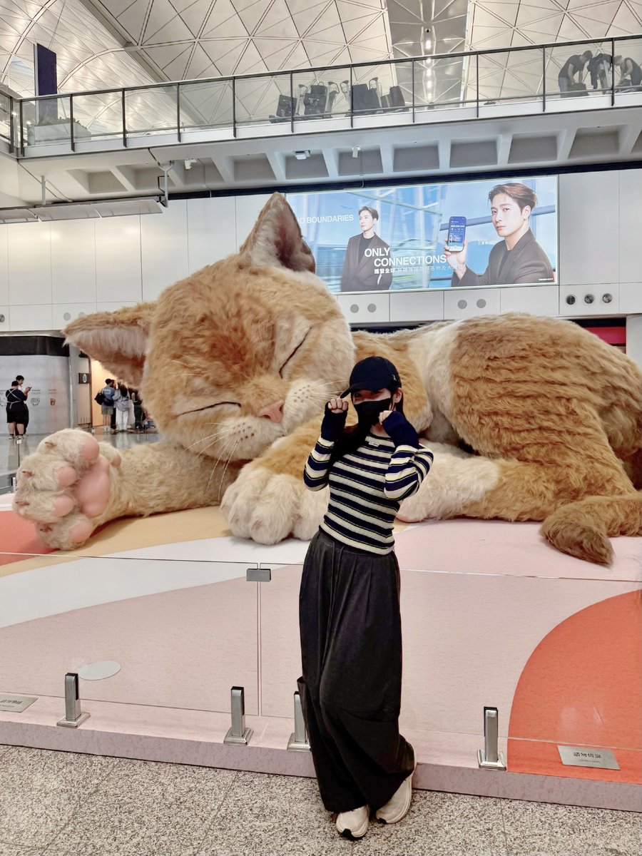 sinonome_umi's tweet photo. 香港の空港、でっっかい猫チャンいて神 https://t.co/ZI4OO6oijB