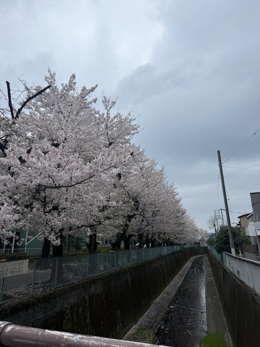 河口まなぶ tweet media