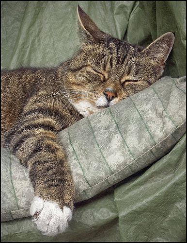 Mary 🕊️ tweet media