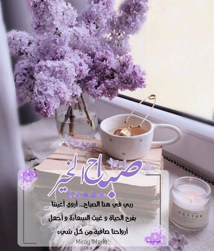 Reda tweet media