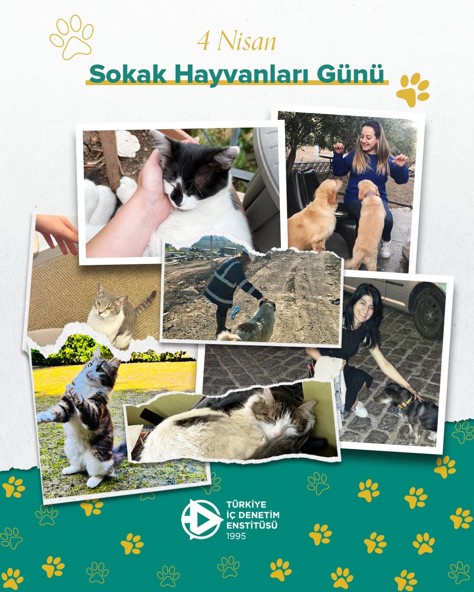 Türkiye İç Denetim Enstitüsü (TİDE) tweet media