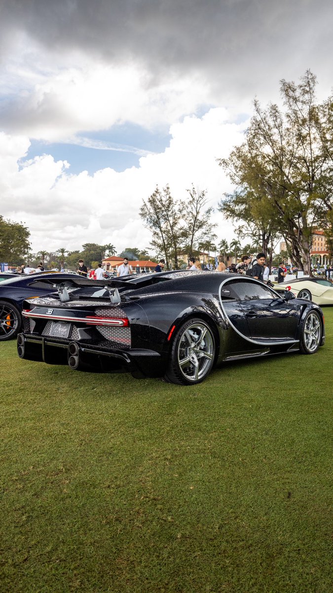 Ant 🇲🇽 tweet media