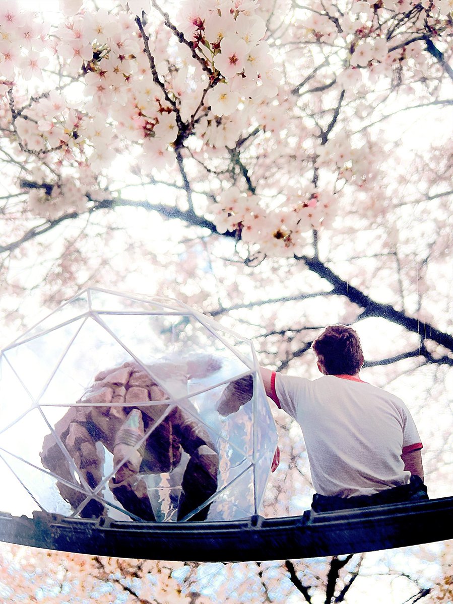 akiden 🪴 tweet media