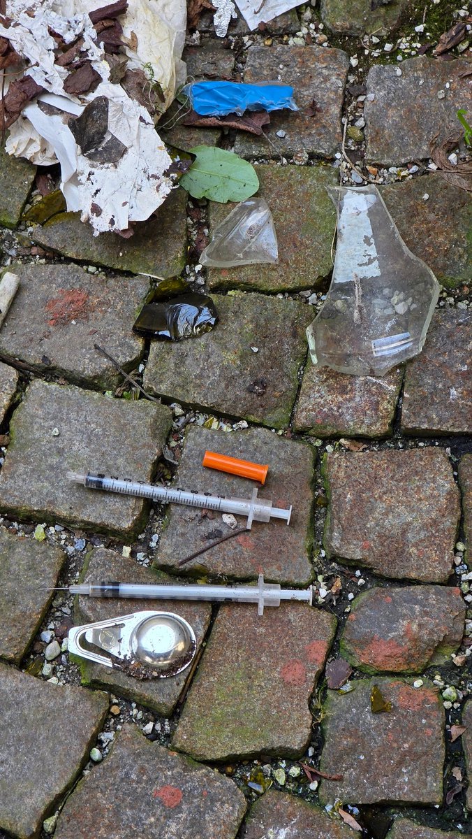 Heraldica Slovenica tweet media