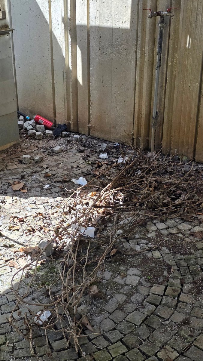 Heraldica Slovenica tweet media