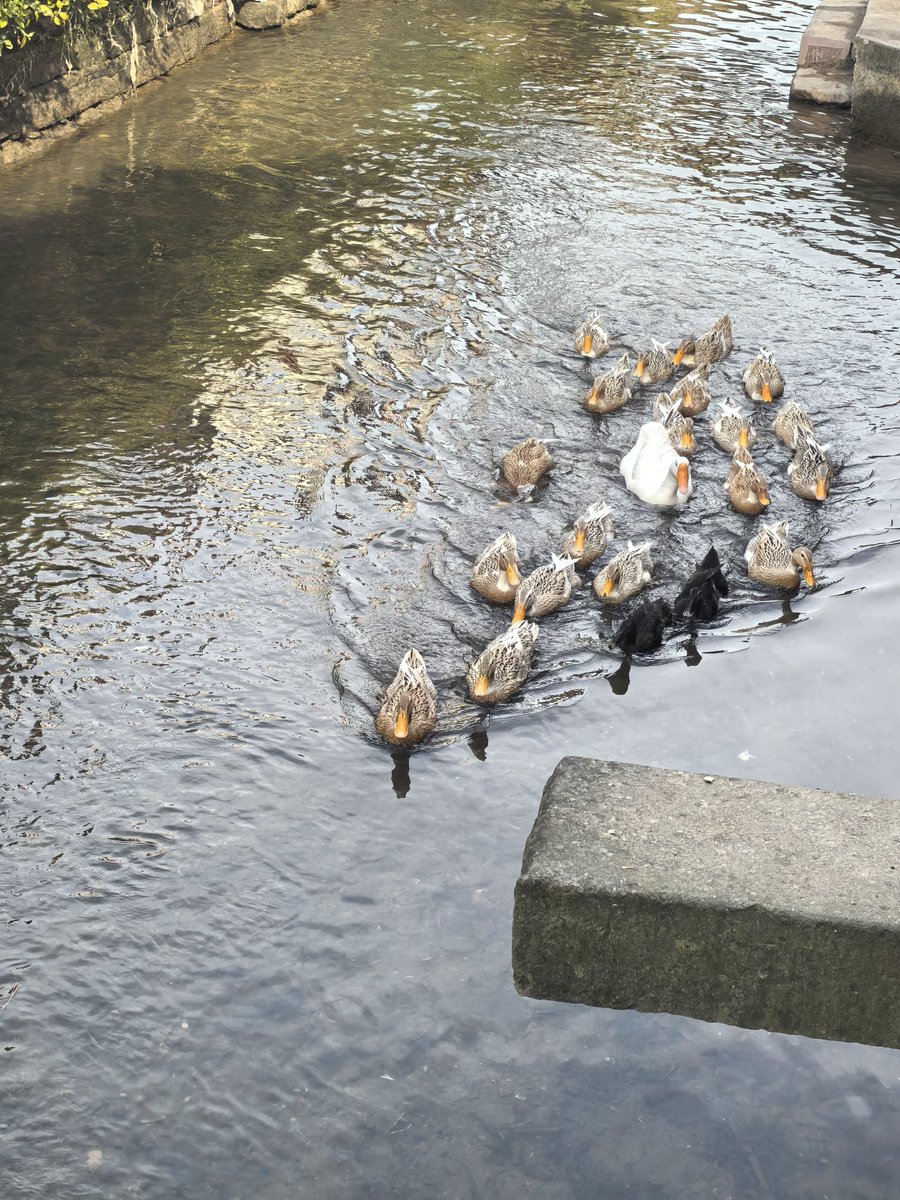 vv hou（互fo） tweet media