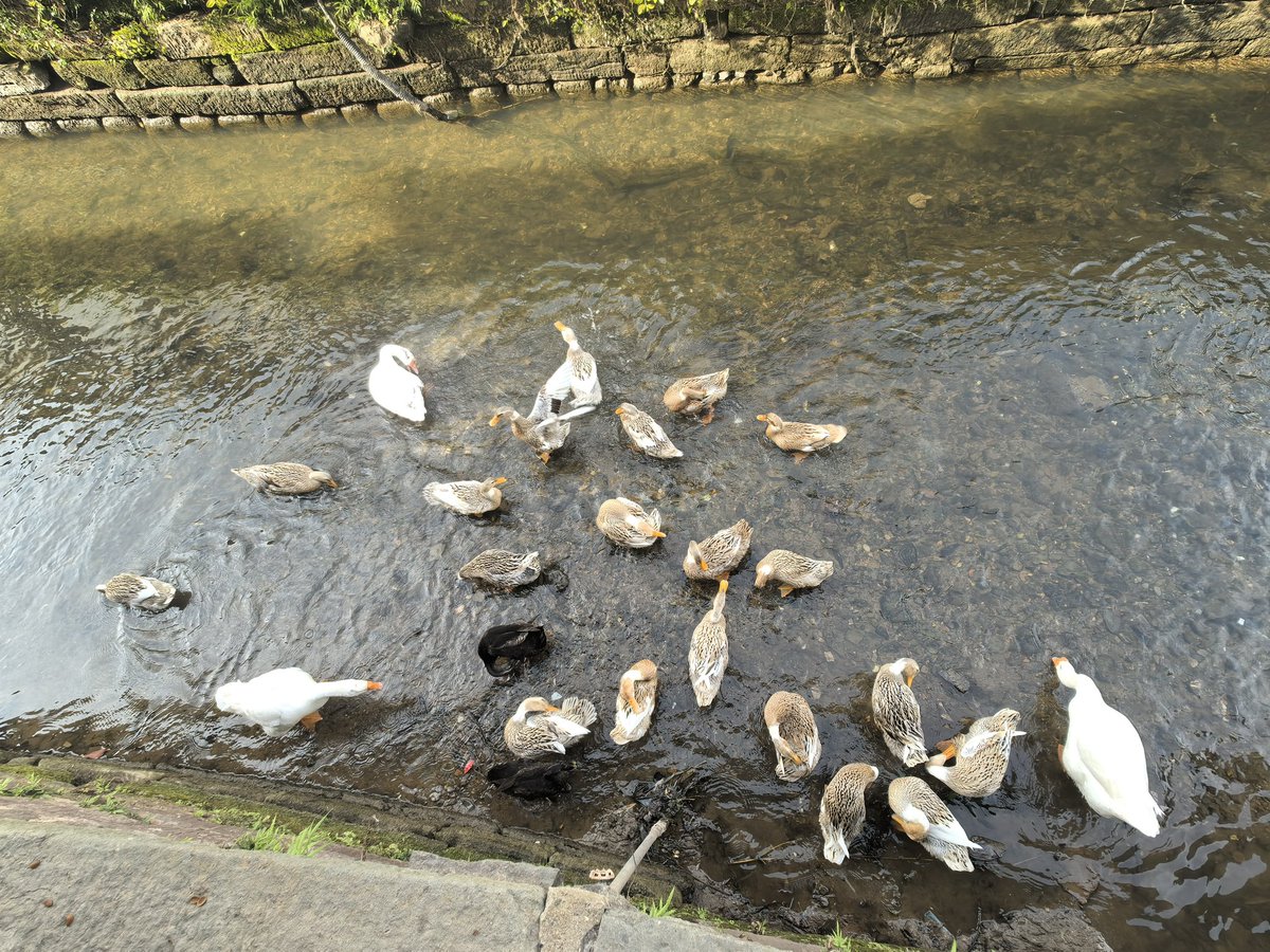 vv hou（互fo） tweet media