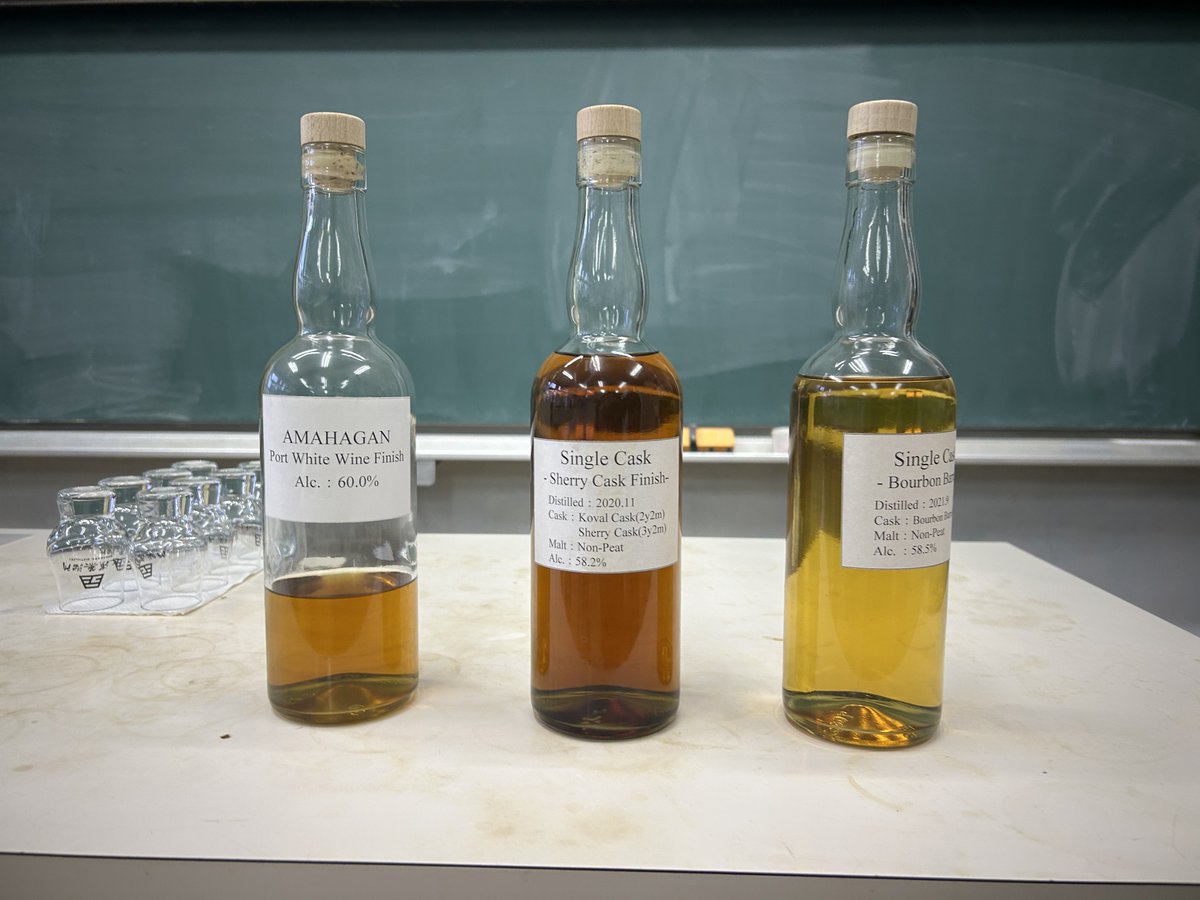 サカタつくね🦔🌱 tweet media