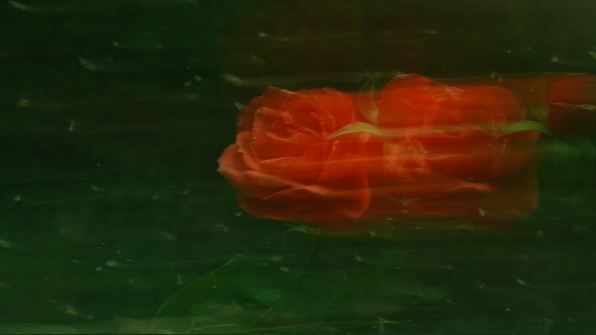 虎兔功夫高 tweet media