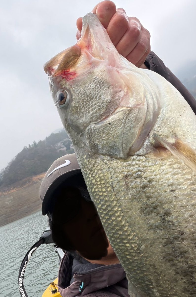 TAIDON@桟橋の人 tweet media