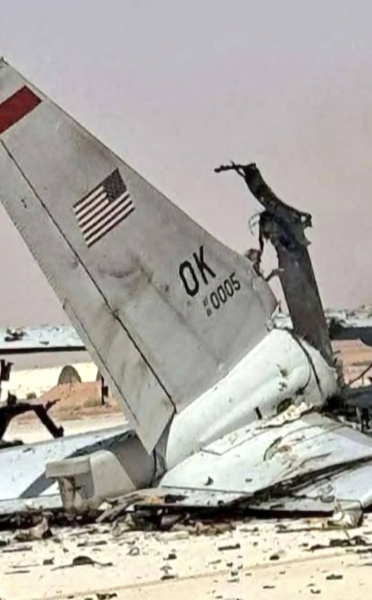 salamander radio tweet media