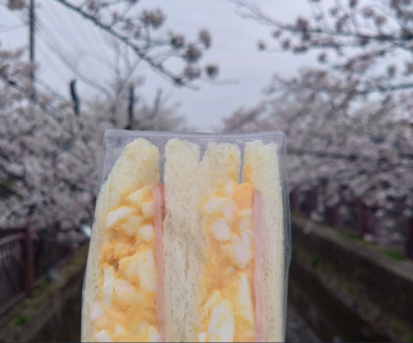 ひろし tweet media