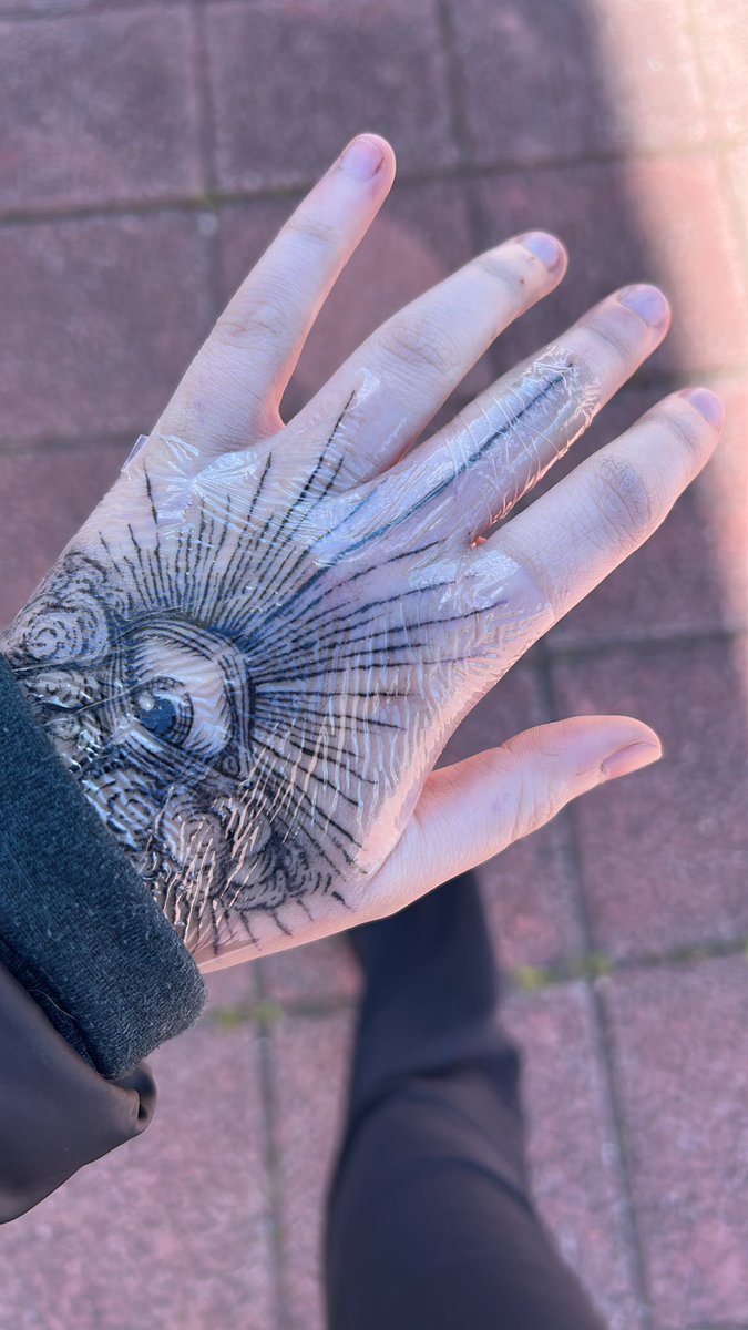 Sara Rom tweet media