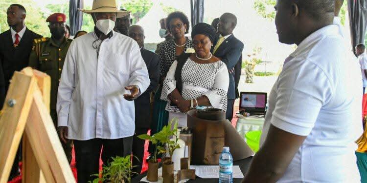 Golden Posts Uganda tweet media