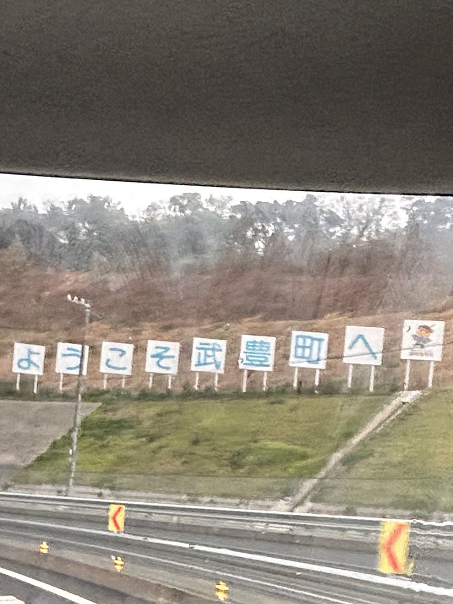 Pitto⋈*⋆ tweet media