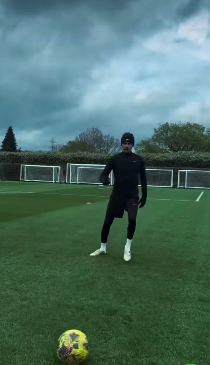 Lilywhite Rose tweet media