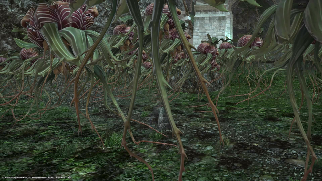 🐔🔥🍖おにく🍗🔥🐔（Leo🜸Rune） tweet media