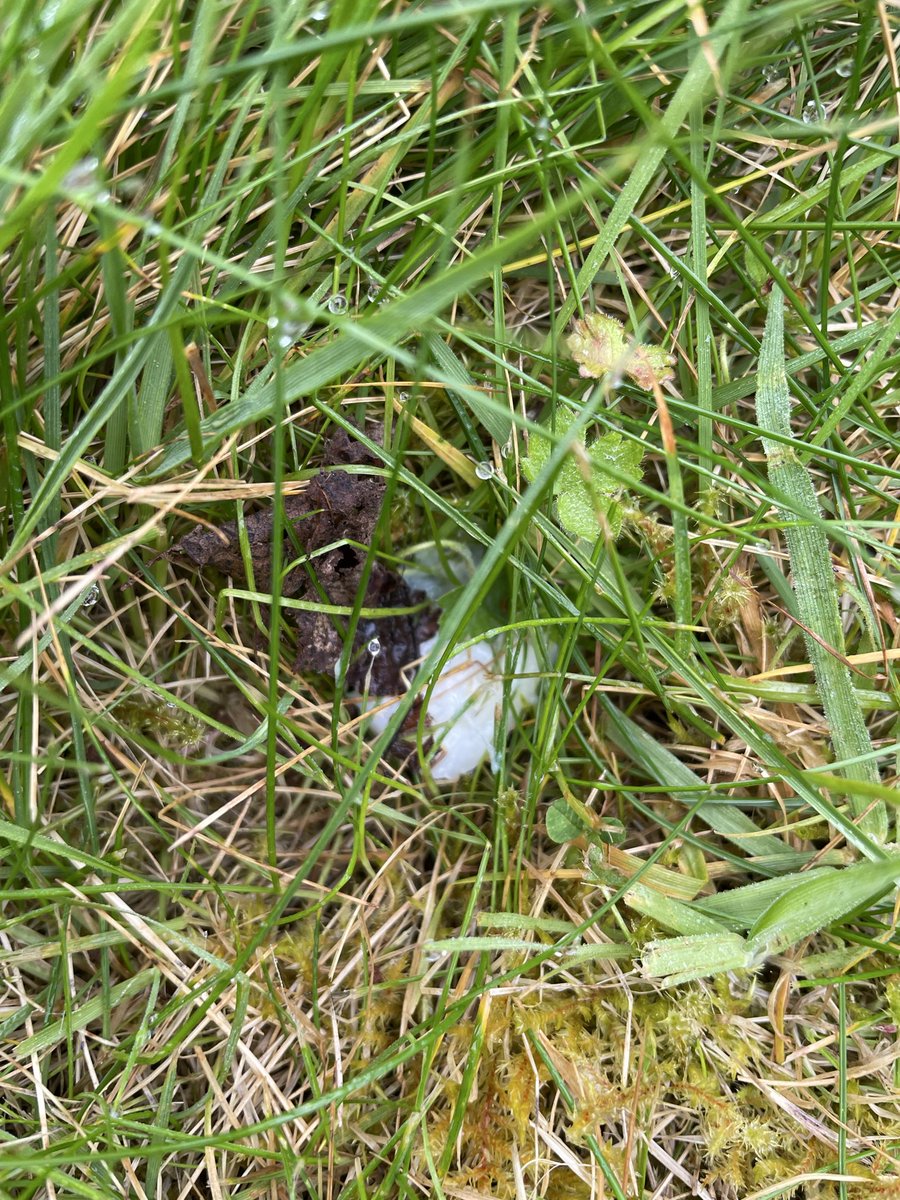 Jennifer Cary tweet media