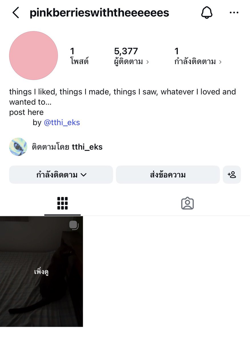 คิมจาเป็นนน tweet media