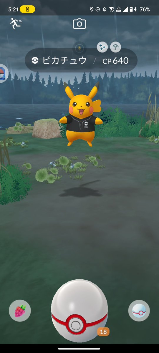 チキンカツ@ポコア生活始めました😍 tweet media