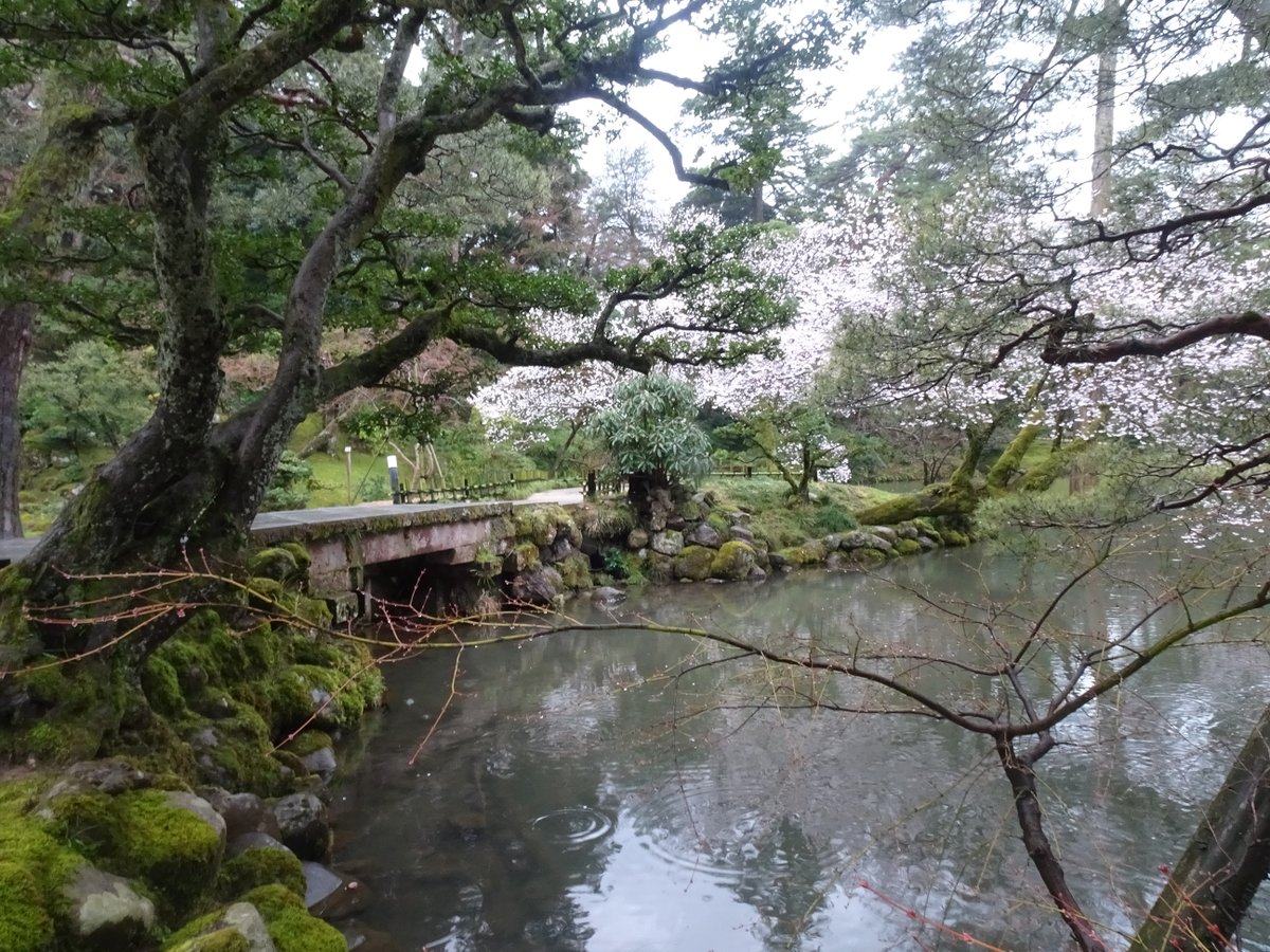 ころけろ tweet media