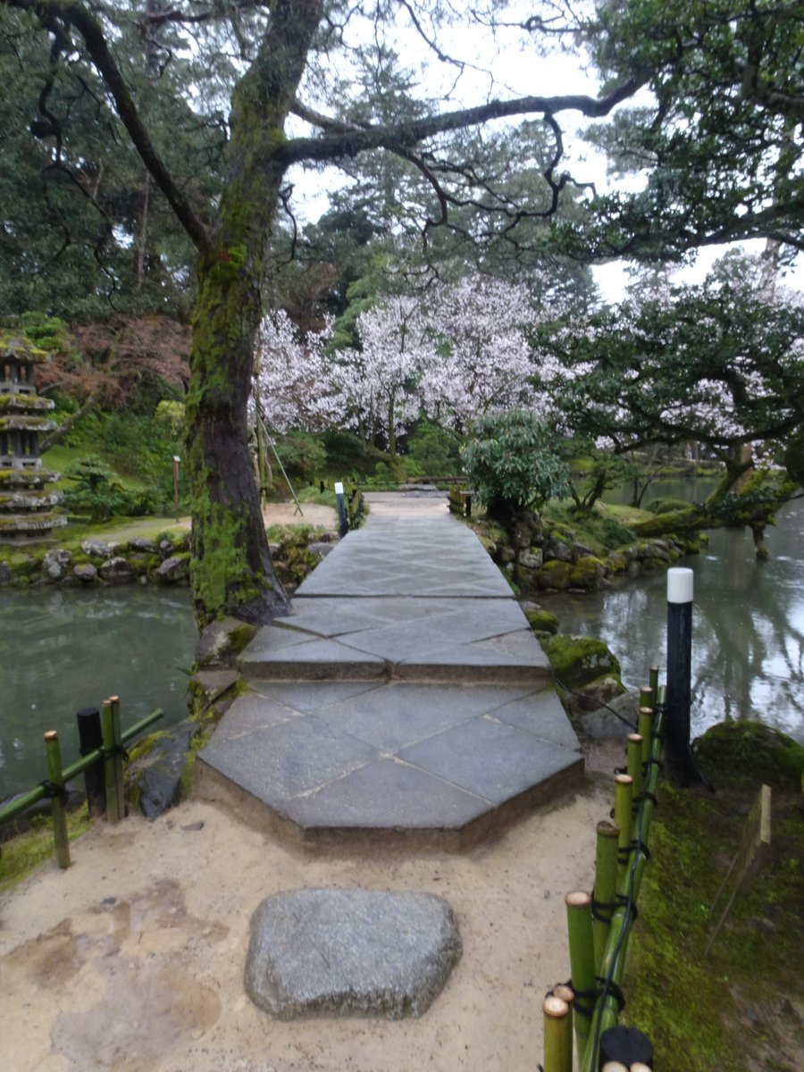 ころけろ tweet media