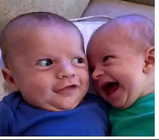 @MrMawazo tweet media