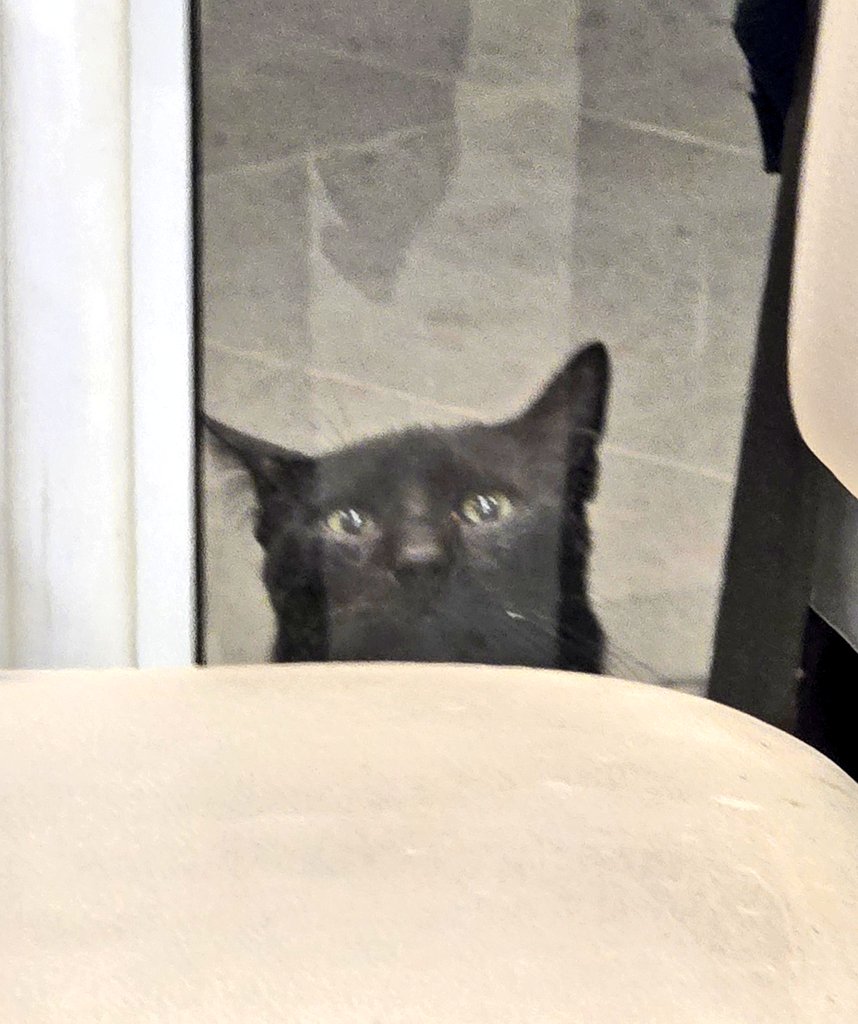 Jon Coupland tweet media