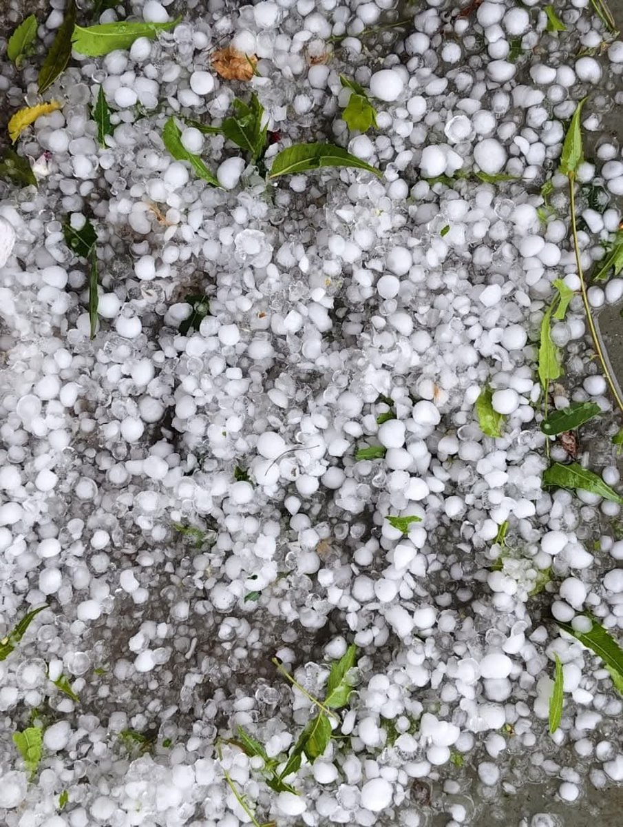 मनुदेव सिनसिनी-लोहागढ़ योद्धा tweet media