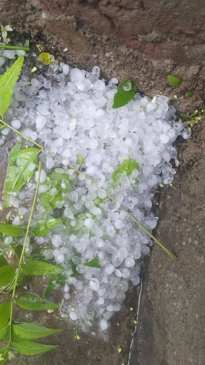 मनुदेव सिनसिनी-लोहागढ़ योद्धा tweet media