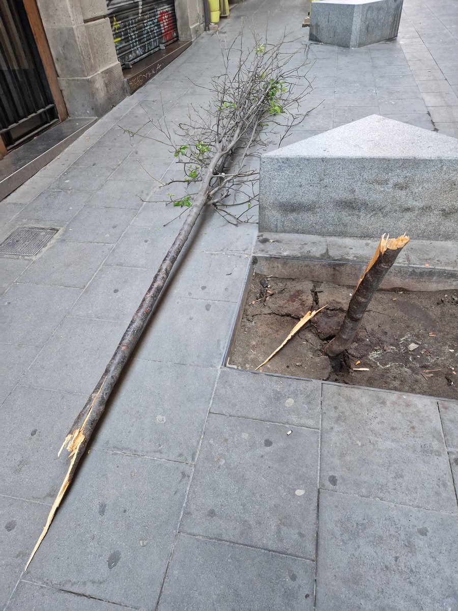 República de les Lletres tweet media