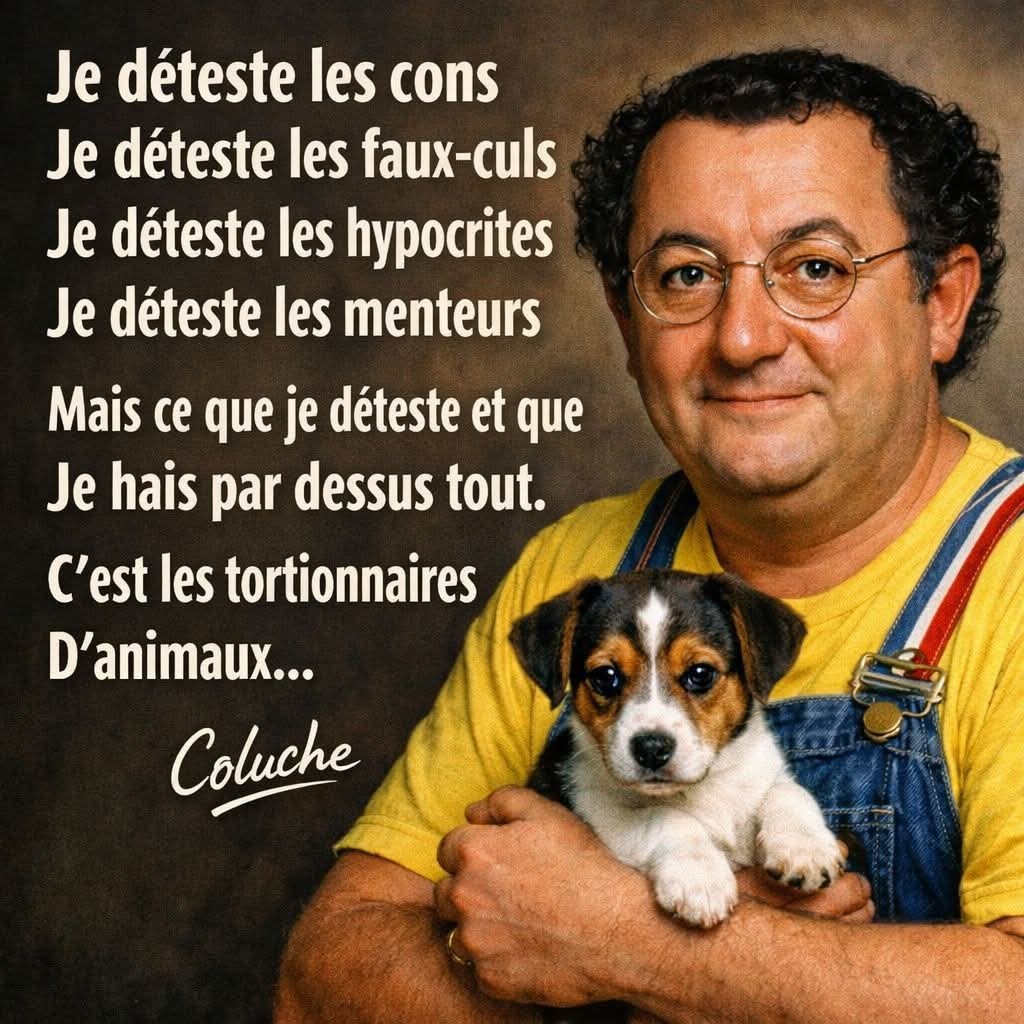 💙🤍❤️Choupie 😸 tweet media