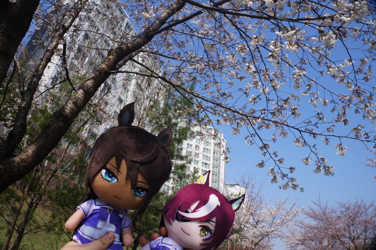 宿命ぬい tweet media