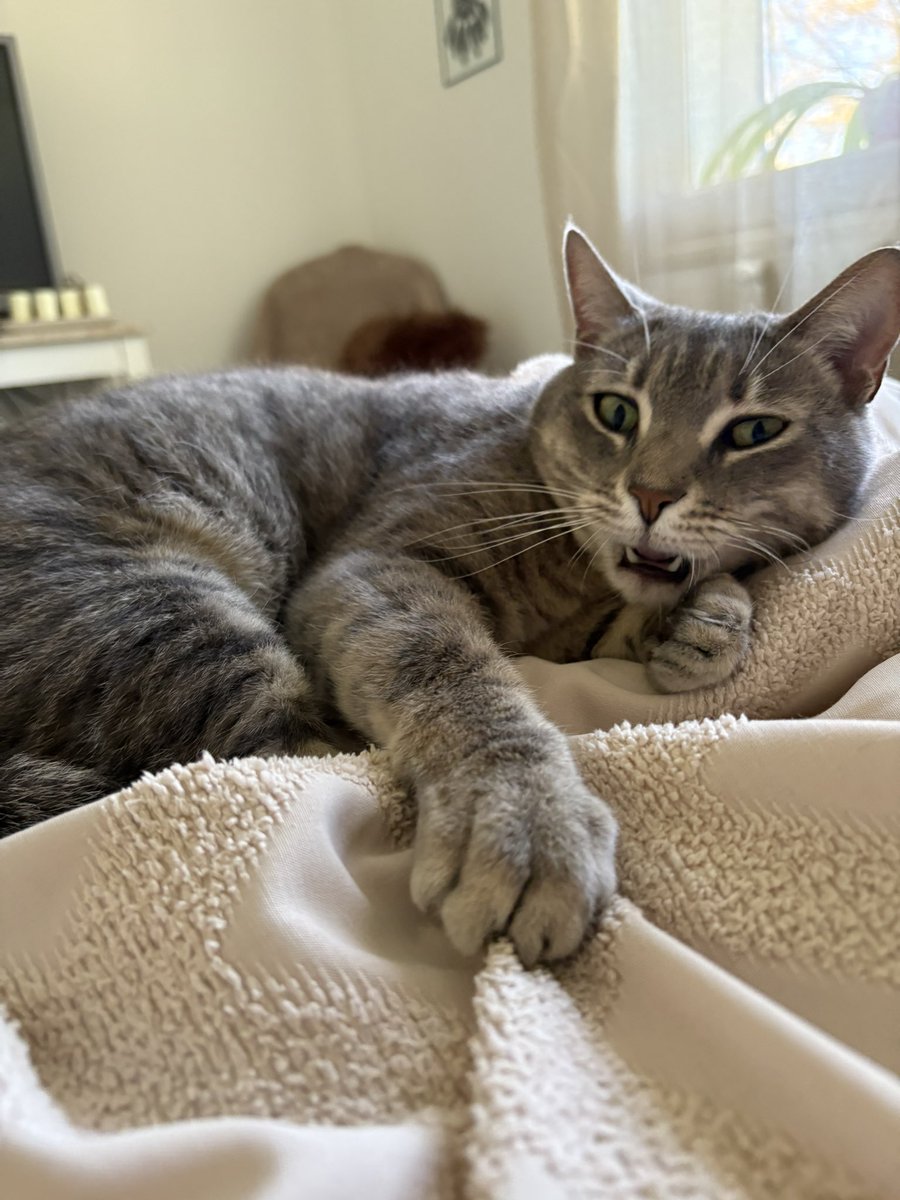 alex🍒 tweet media