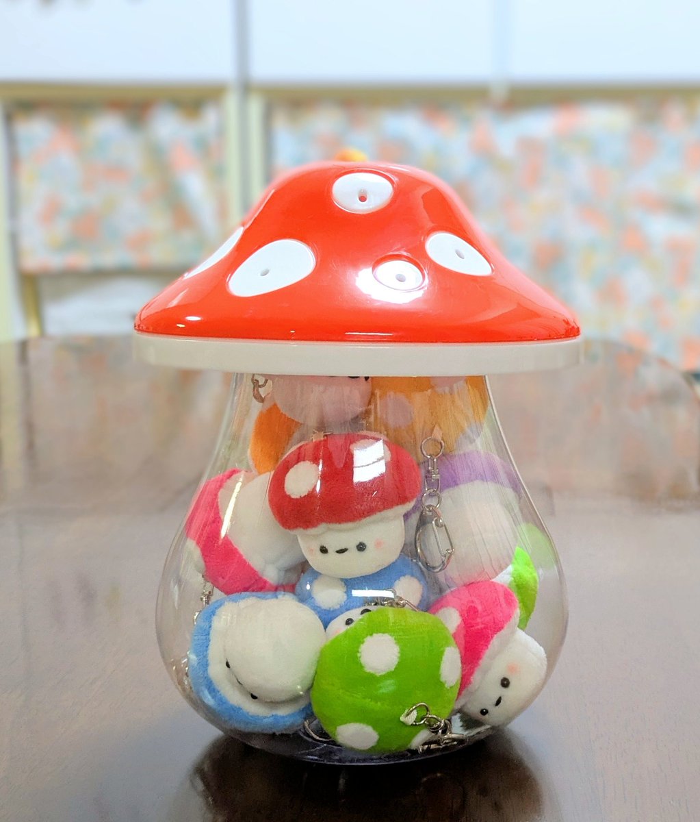 きなこ(きのこ亭)🍄 tweet media