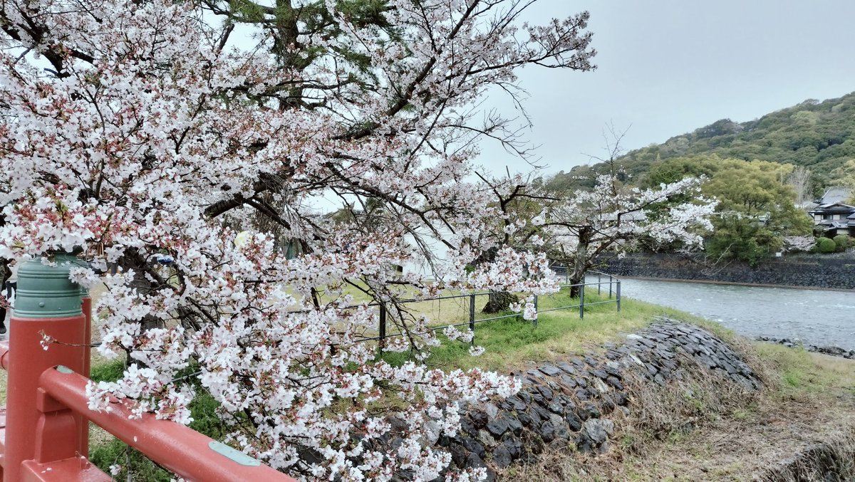 伍六参 tweet media