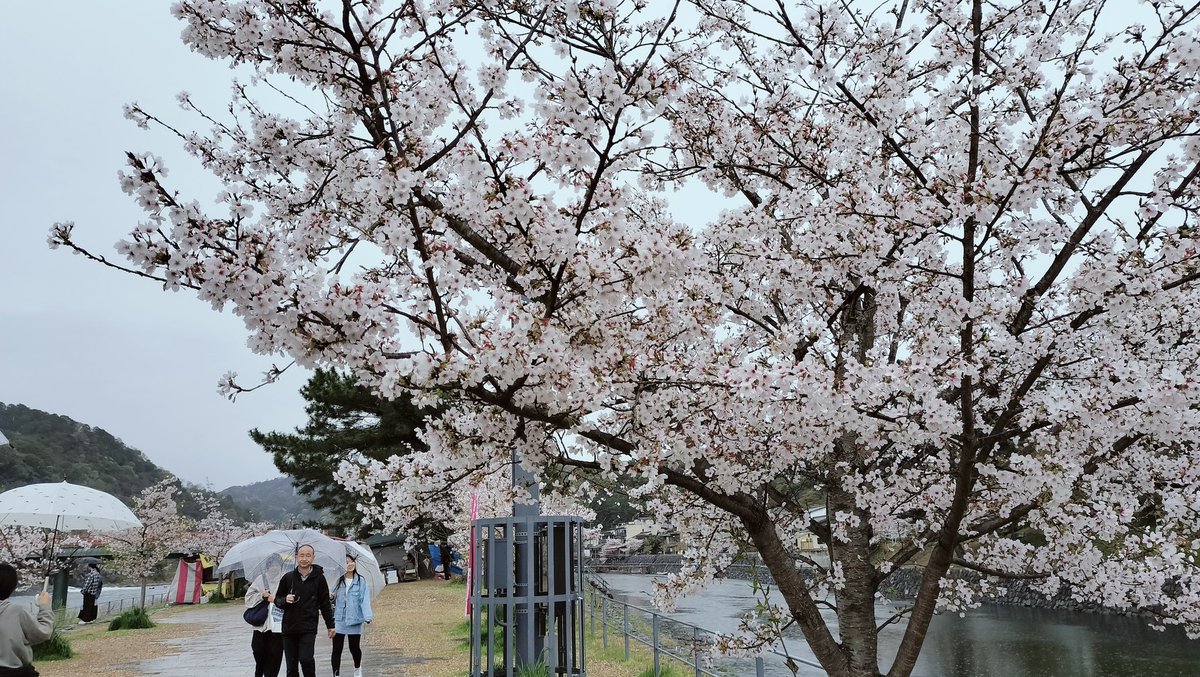 伍六参 tweet media