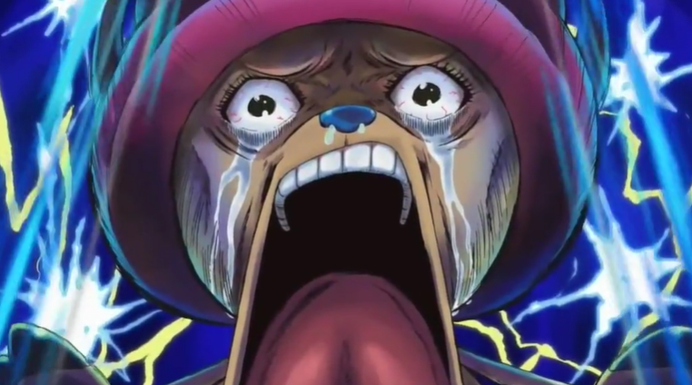 Wonderfish tweet media