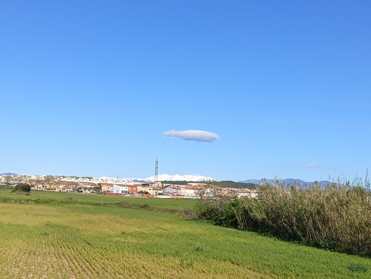 Rober Forns Sanahuja tweet media