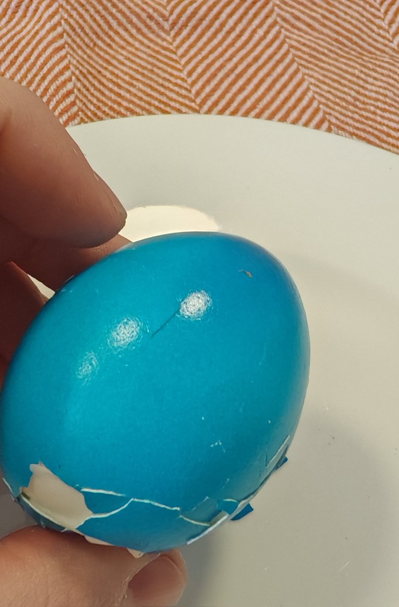 Tom Middler tweet media