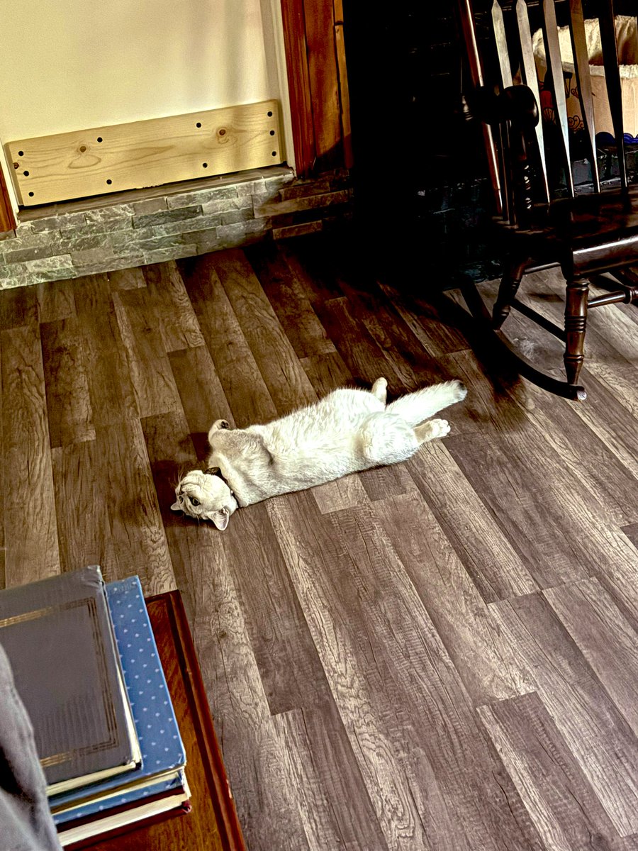 Jen Dent tweet media