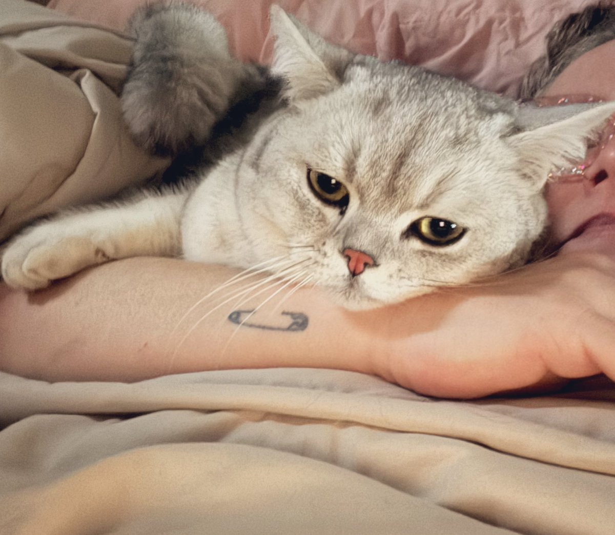 Jen Dent tweet media